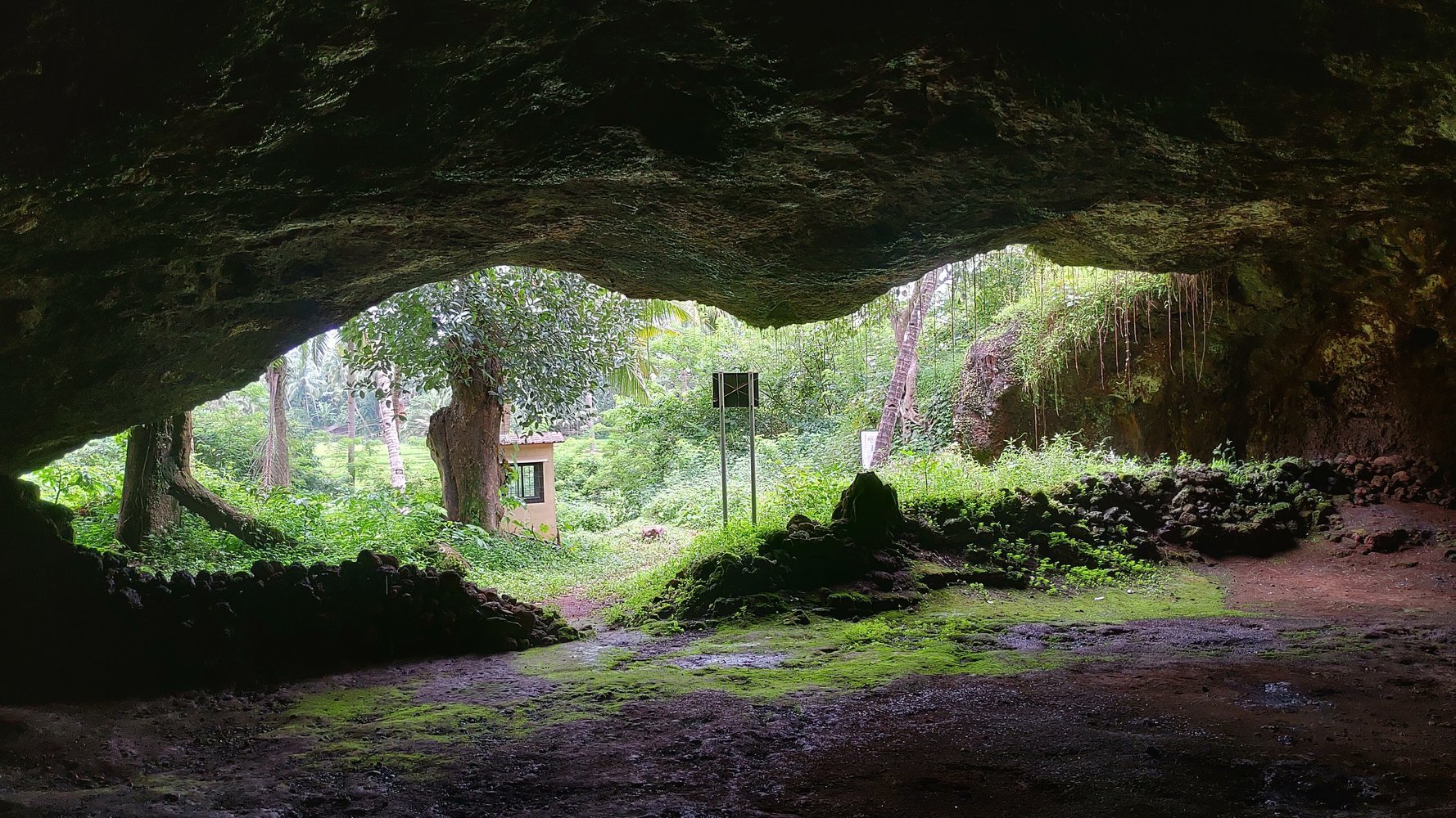 Rivona Caves Goa