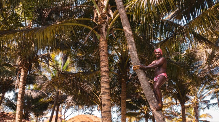 Goa Beach Resort: Sustainable Luxury at Beleza By The Beach