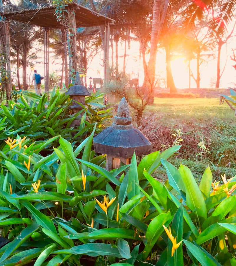 Goa Environment Goa Beach Resort: Sustainable Luxury at Beleza By The Beach
