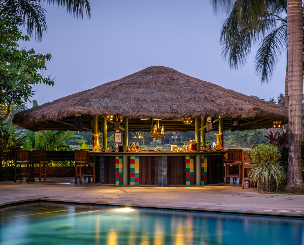 Paddy-Bar